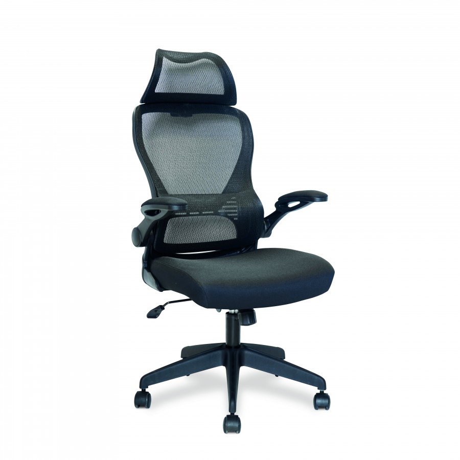 Canis High Back Mesh Office Chair